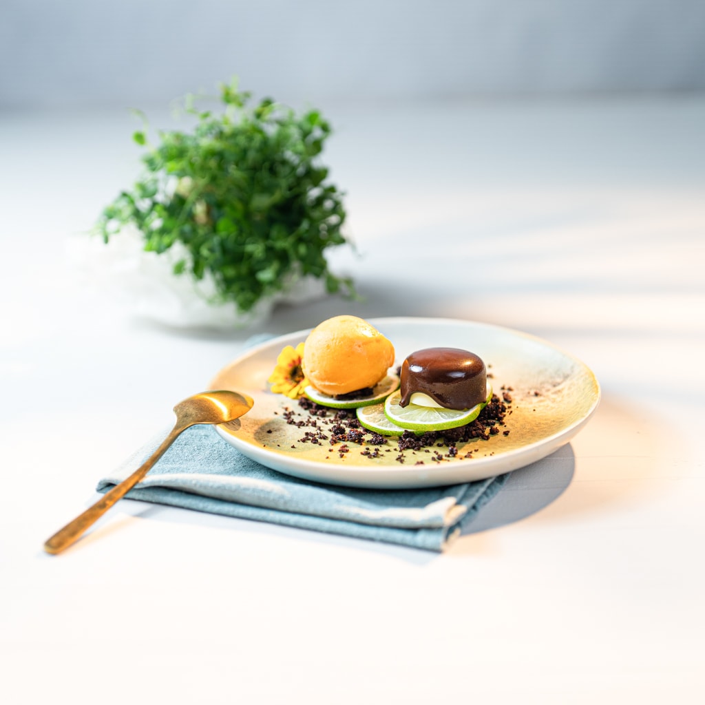 Limetten Panna Cotta / Crunchy Schokolade / Essbare Erde / Marillensorbet